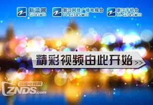 浙江卫视的爆料视频大全,精彩瞬间回顾